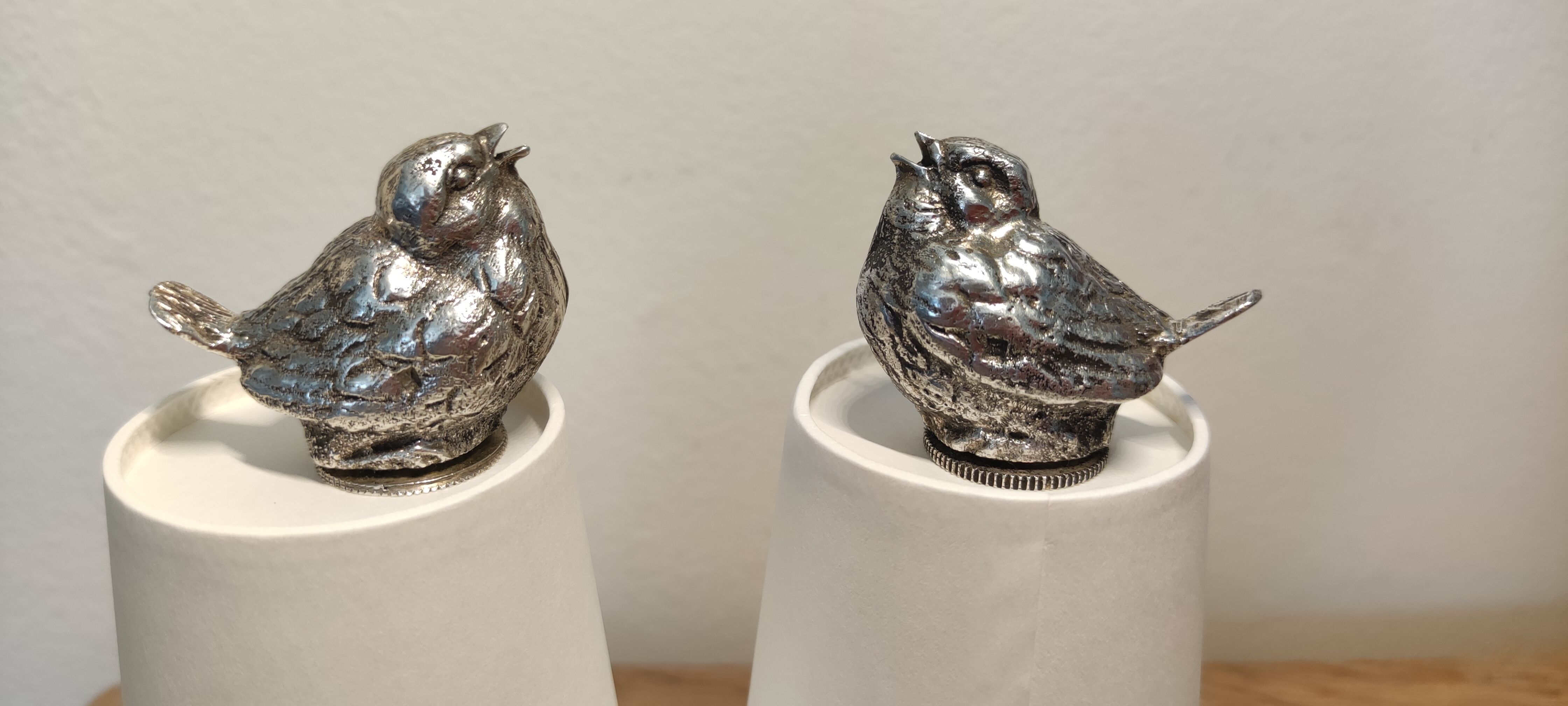 Salt and pepper silver birds