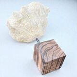 Antique natural white wave coral on wooden base cabinet of curiosities