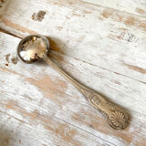 Silver metal ladle