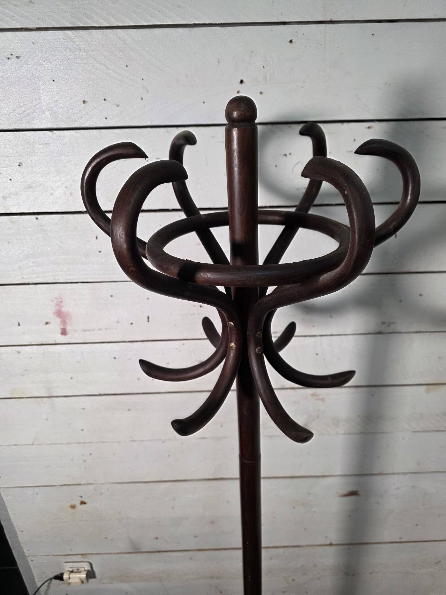 Perroquet en bois courbé ancien 
