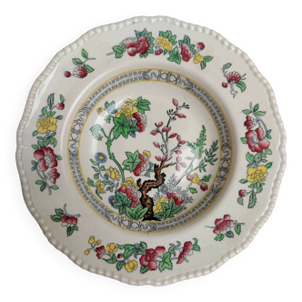 Assiette Royal Doulton England