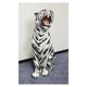 White Tiger Ceramic