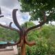 coat rack parrot solid wood, Baumann style