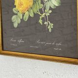 Pair of flower engravings