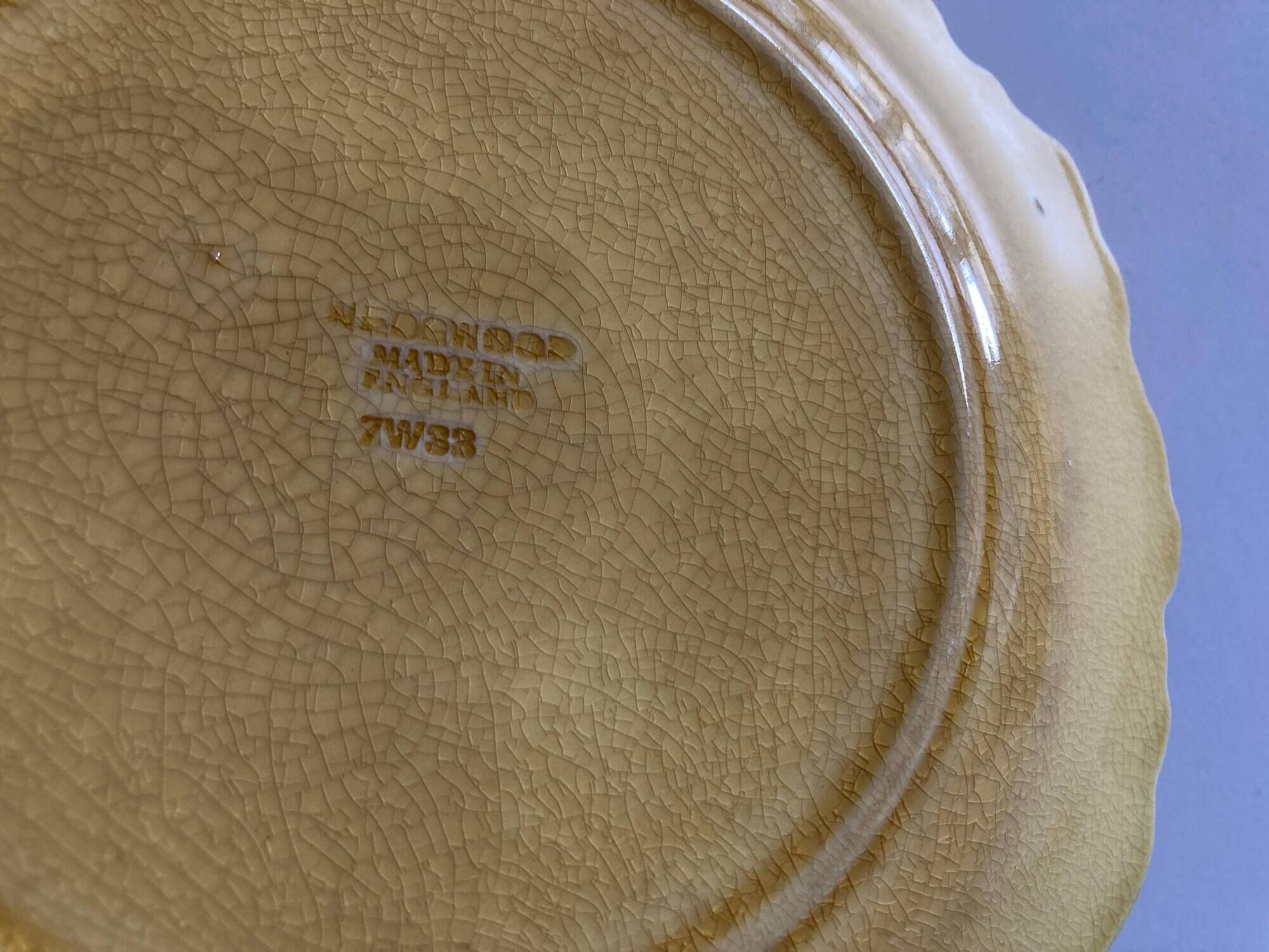 set of 11 Wedgwood vine plates English slip 19th