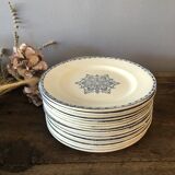 16 flat plates in Salins earthenware
