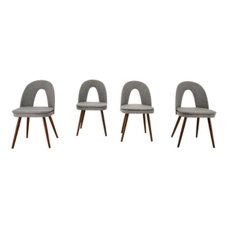 1960s Antonin Suman Set of Four Dining Chairs, Czechoslovakia