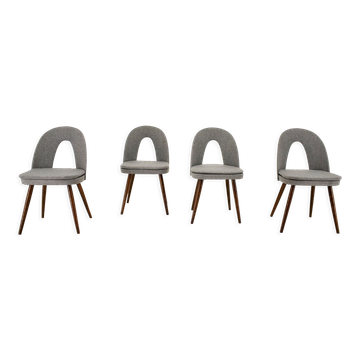 1960s Antonin Suman Set of Four Dining Chairs, Czechoslovakia