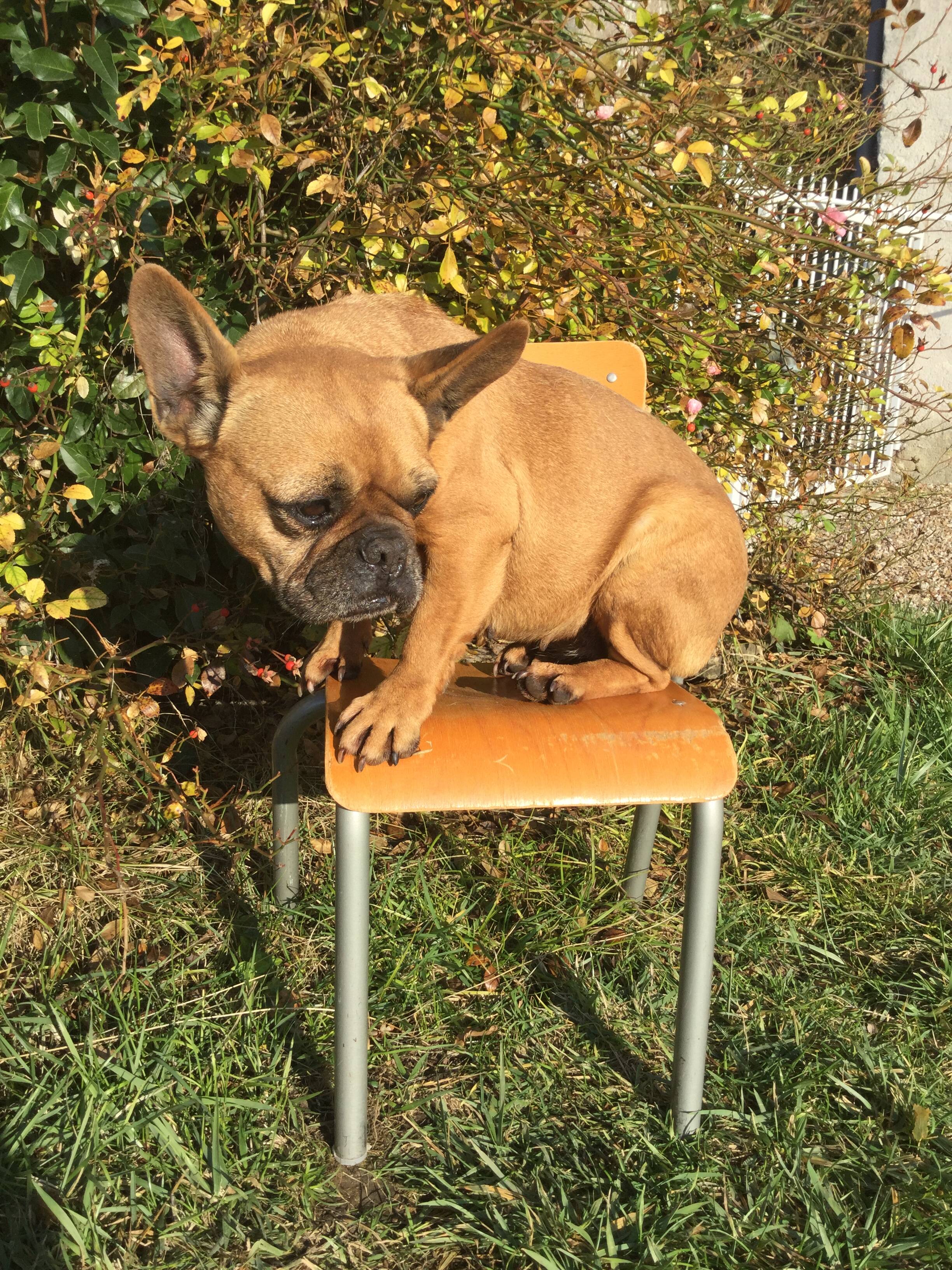 Chaise d’ecole enfant