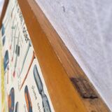 Frame and old pedagogical and school poster