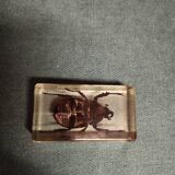 Beetle resin block