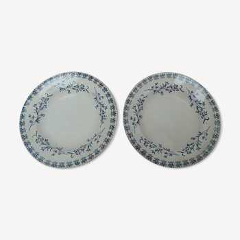 Set of 2 hollow plates campanula pattern