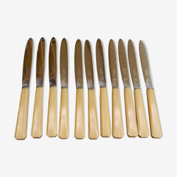 Set of 11 cheese knives or vintage dessert stainless steel blade.