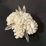 Corail blanc naturel ancien et cristal sur socle en bois napoléon iii xixe cabinet de curiosités