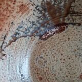 Stoneware salad bowl from Puisaye, signed Jean-Pierre Prud’homme