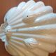 Service forme coquillage 5 pièces