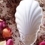 Shell shape dish
