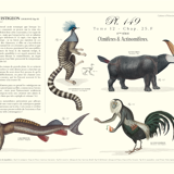 Chimera lithograph animal engraving - the maricoq