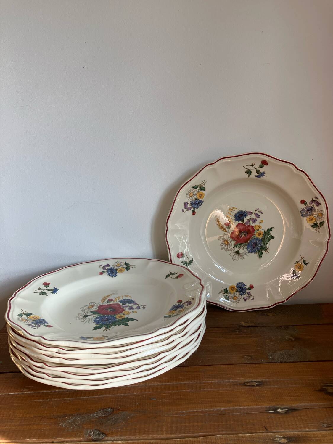 9 Sarreguemines soup plates