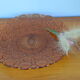 Plat creux en verre rose