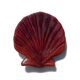 Shell-shaped catchall