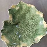 Vide poche feuille de chou