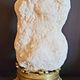 Cabinet of curiosities Naturalia and Minerals Gogotte de Fontainebleau