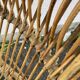 Rattan armchair