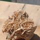 Roses des sables vintages