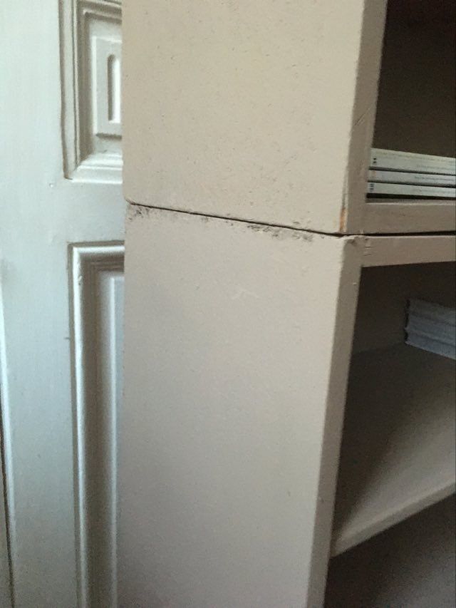 Modular library shelves