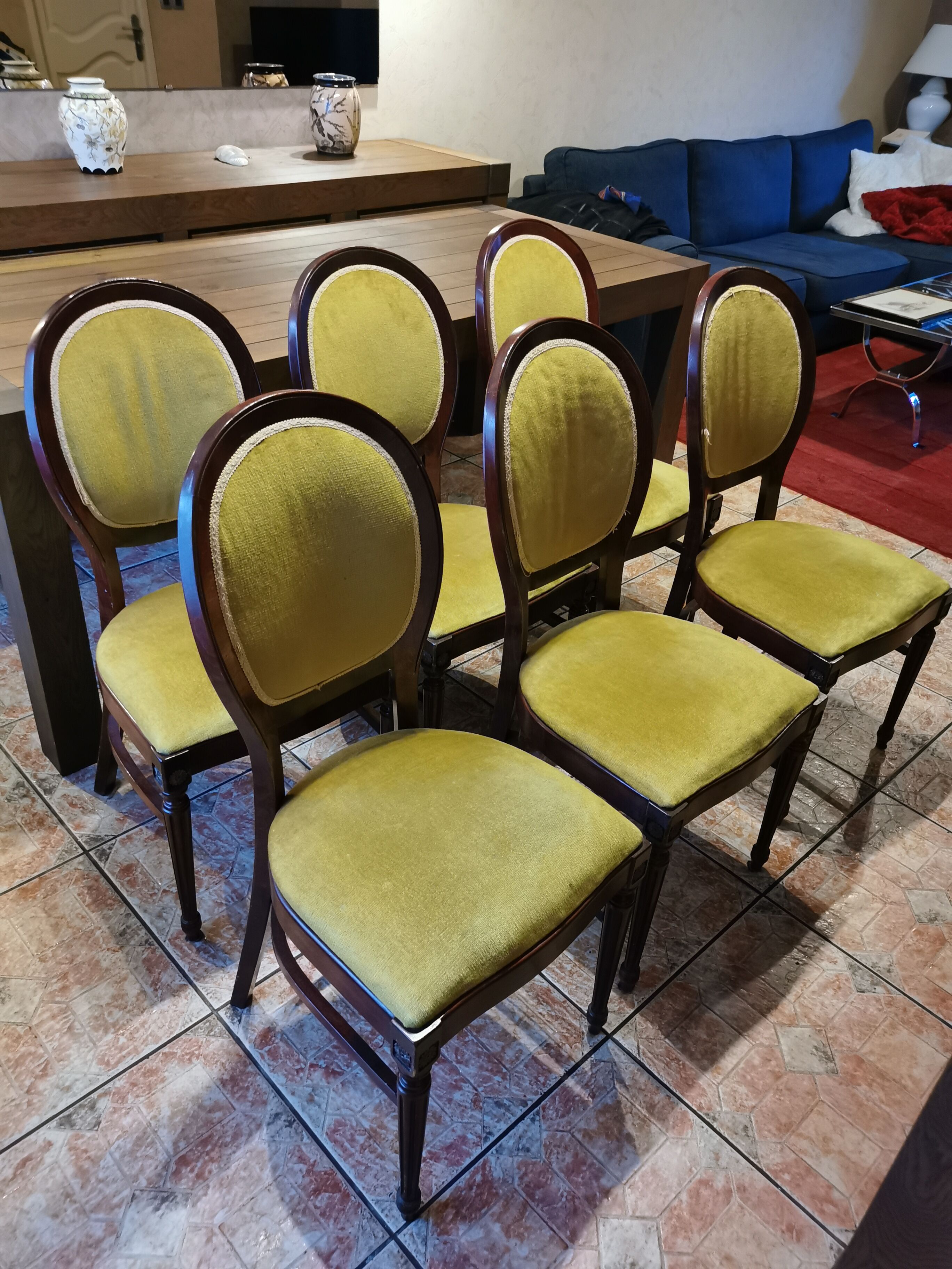 6 medallion chairs