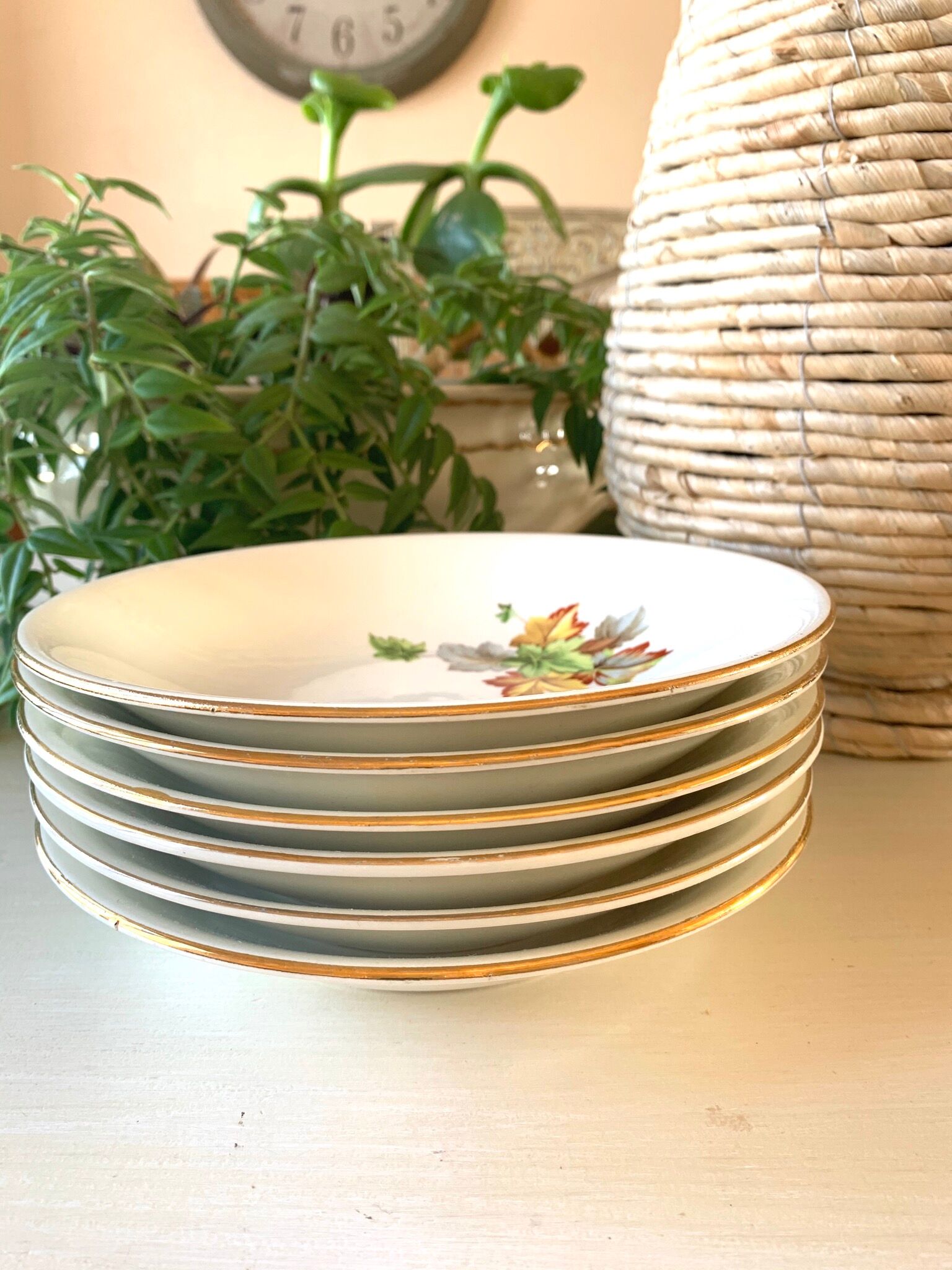 6 Gien hollow plates