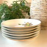 6 Gien hollow plates