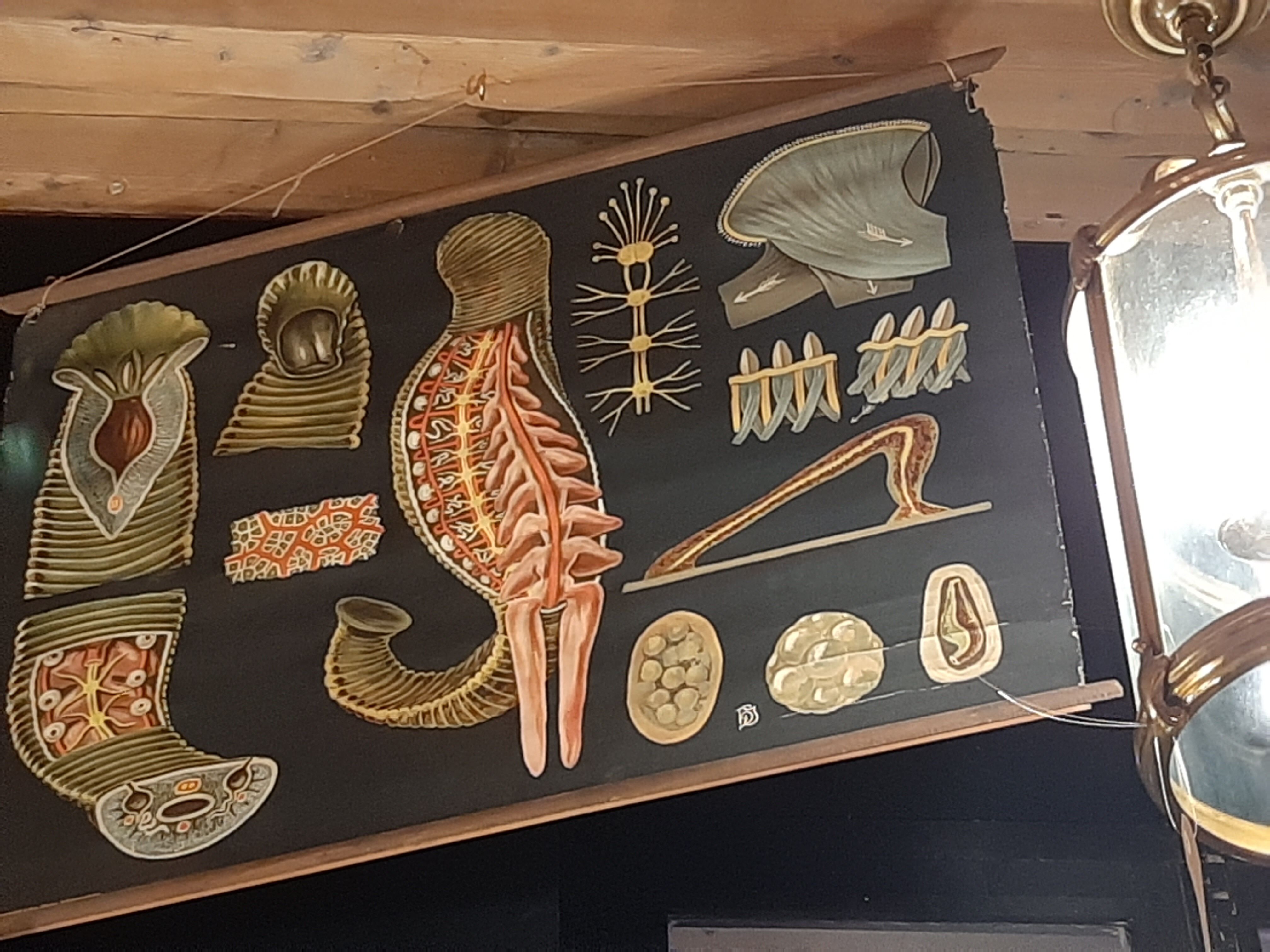 The Lehrmittelverlag Hagemann didactic board