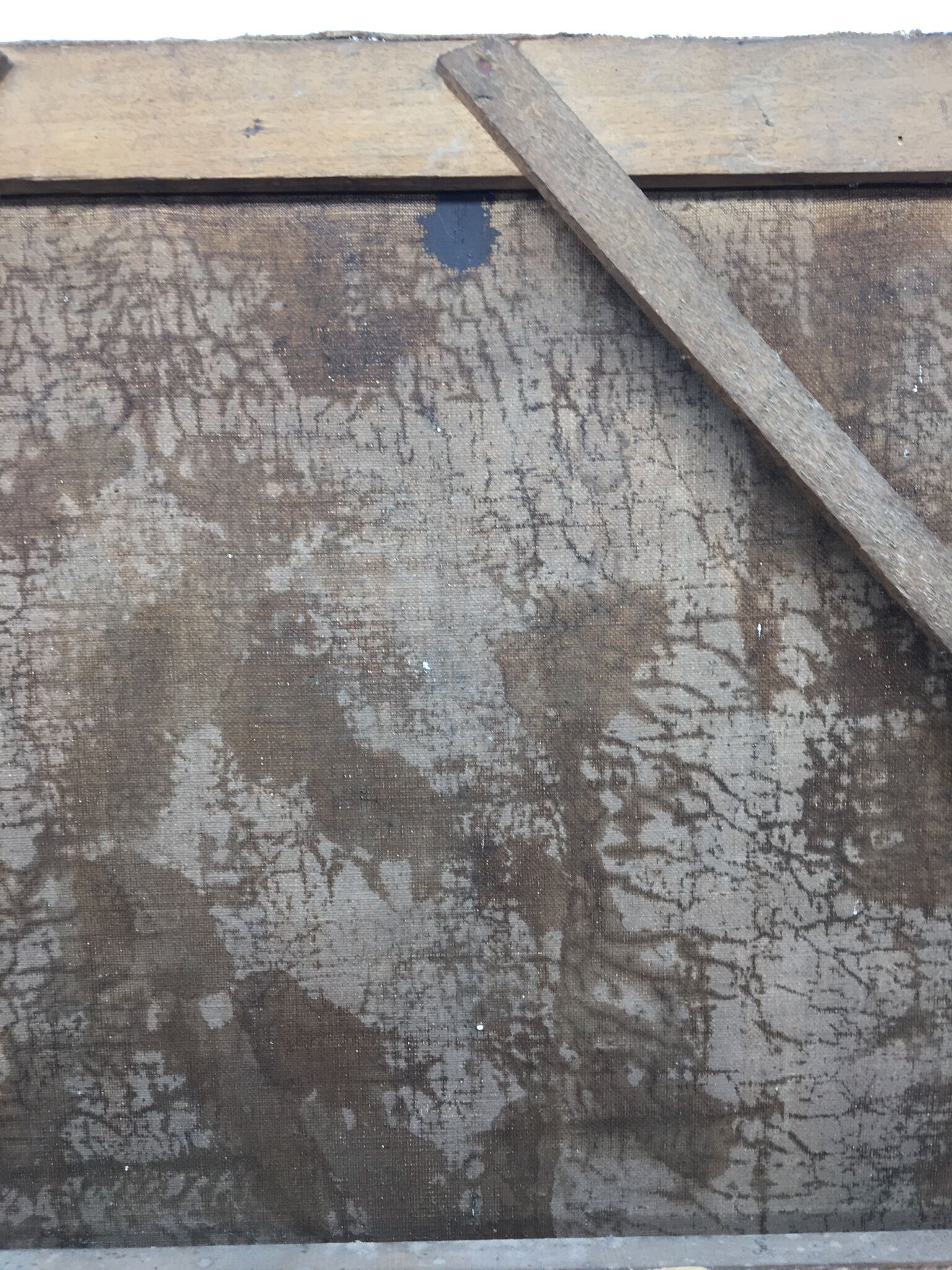 Signed painting, portrait of a gentleman with a book and an earring: 19th century