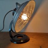 Thermor lamp