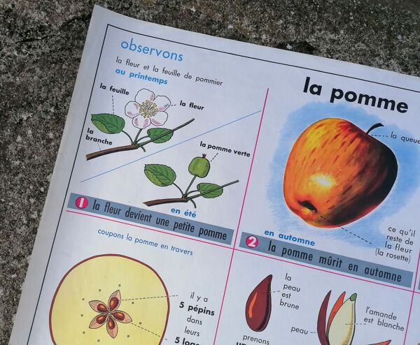 Ancienne affiche MDI ''Les feuilles-La pomme''.