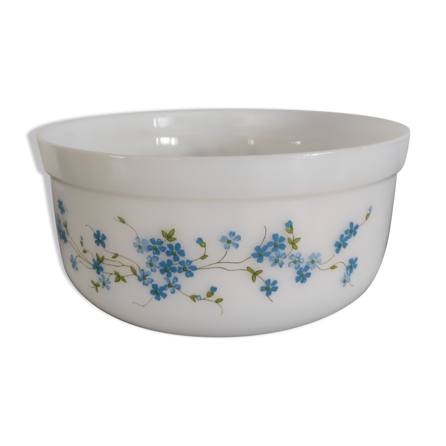 Salad bowl Arcopal Veronica series