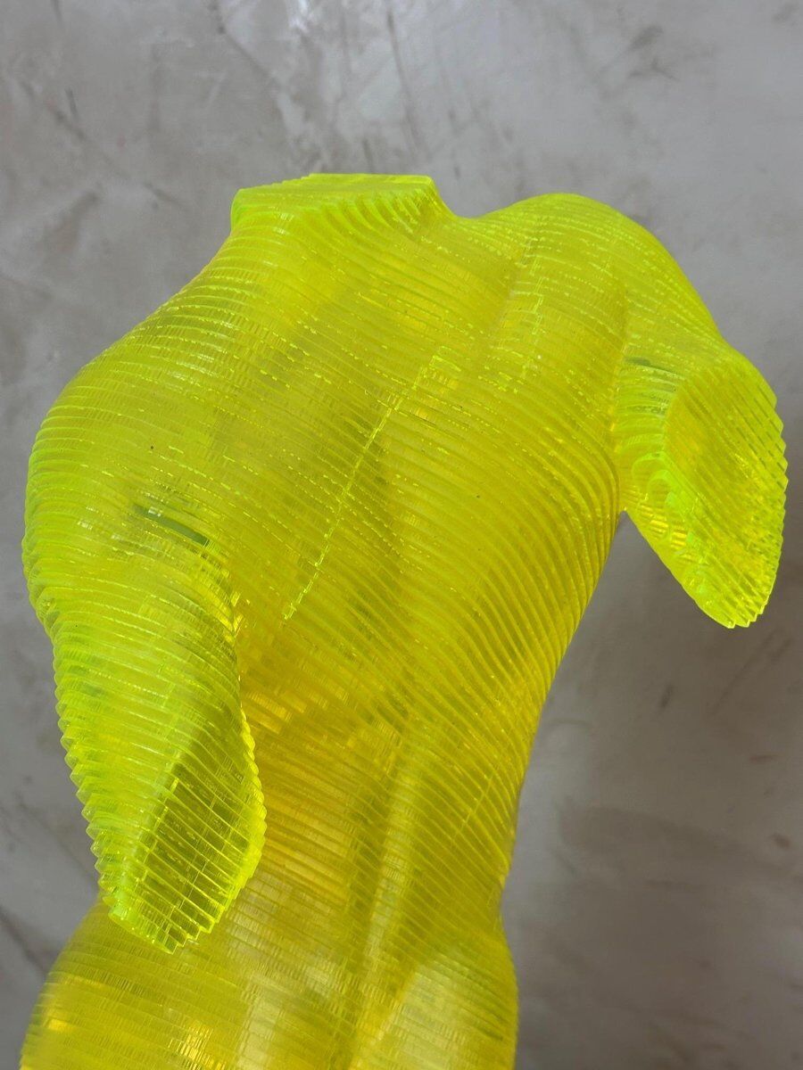 Acrylic male bust by Olivier Duhamel