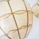 Paire d'appliques en nacre coquillage