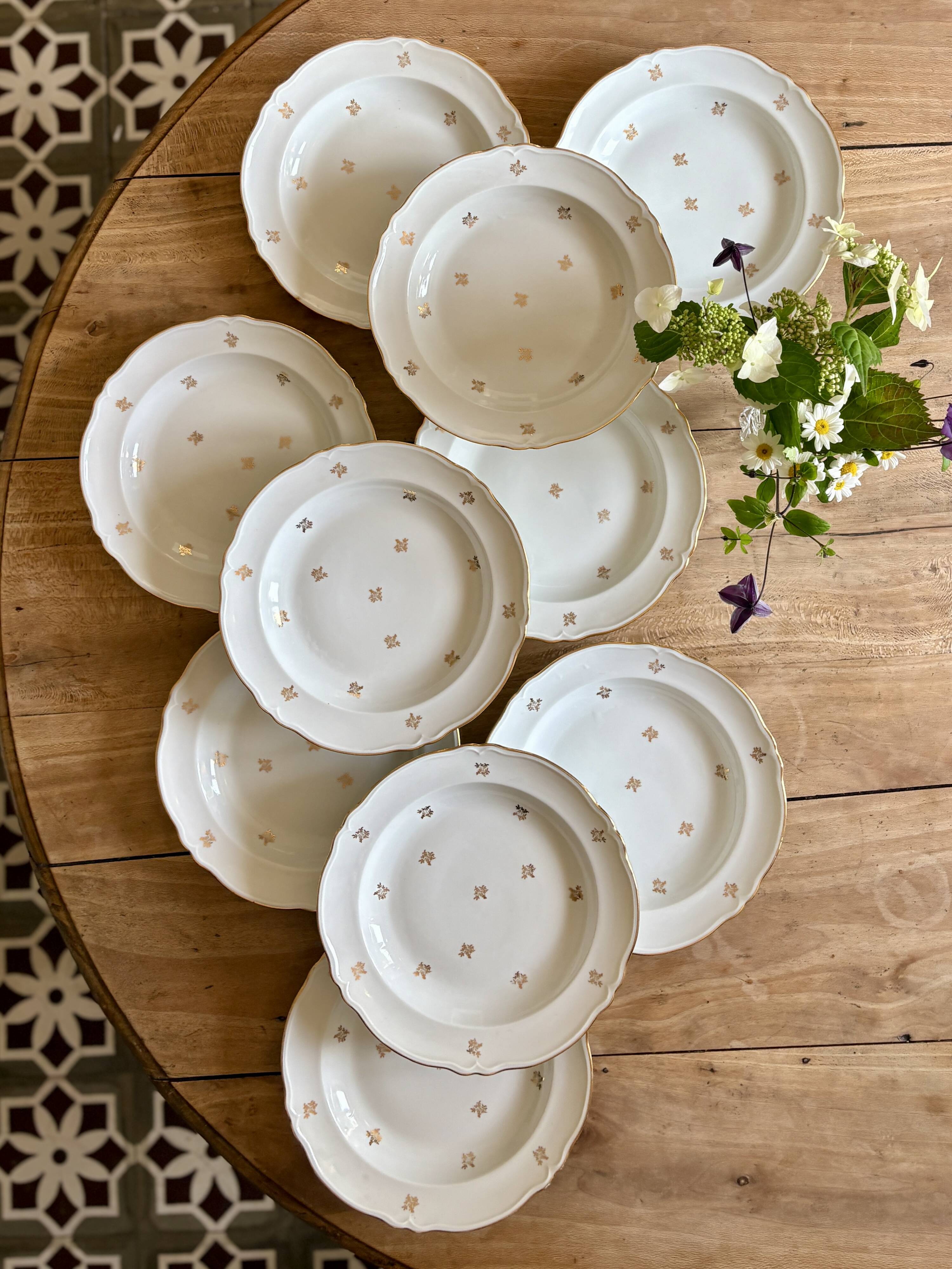 Set of 10 vintage Limoges porcelain soup plates