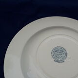 Hollow plate Iron Earth Boulenger model Bordeaux diam 23 cm