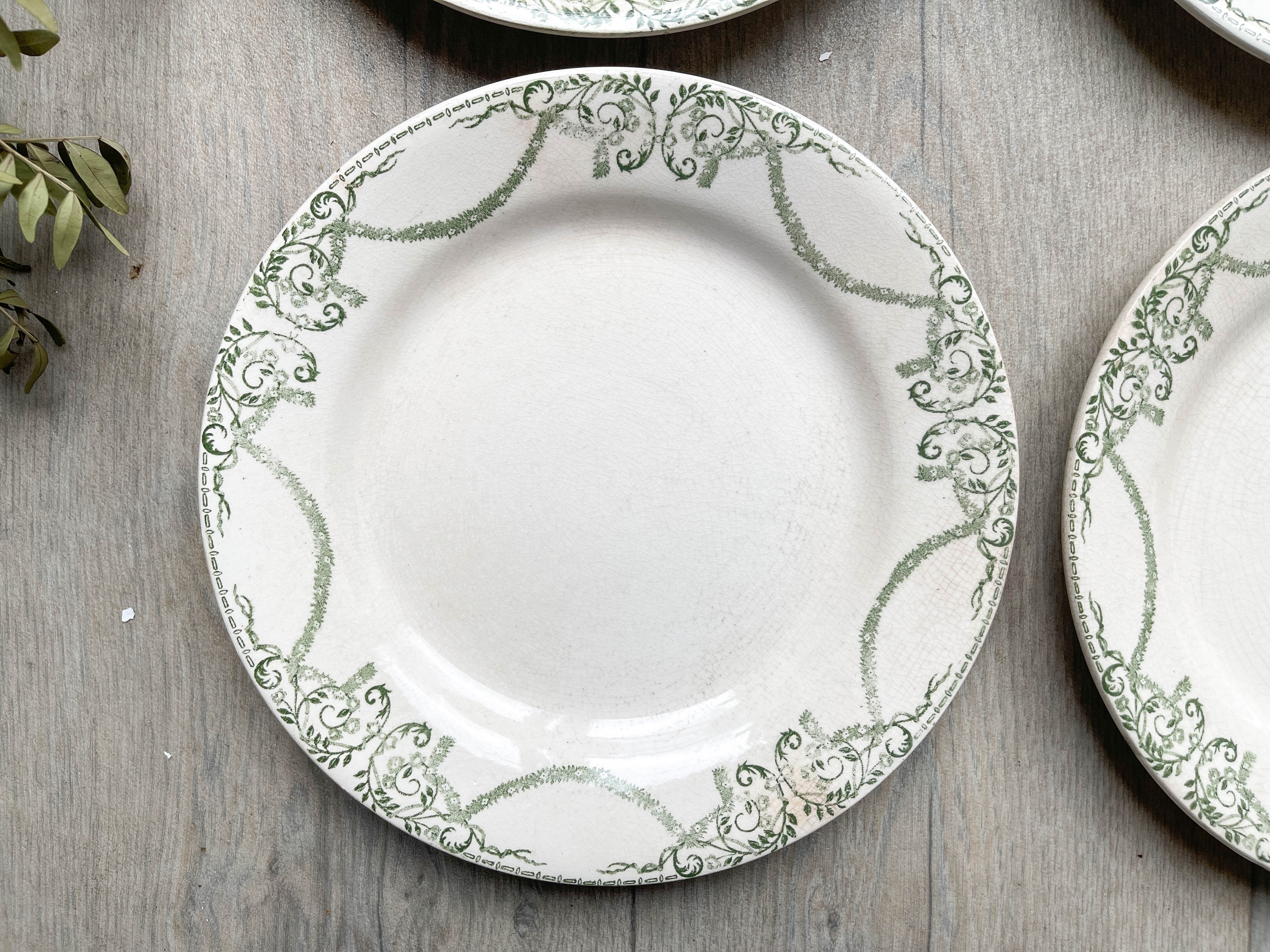 Flat plates terre de fer green creil & montereau labrador model "napoleon" 1890s