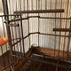 Ancient bird cage