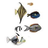 Fish Illustration