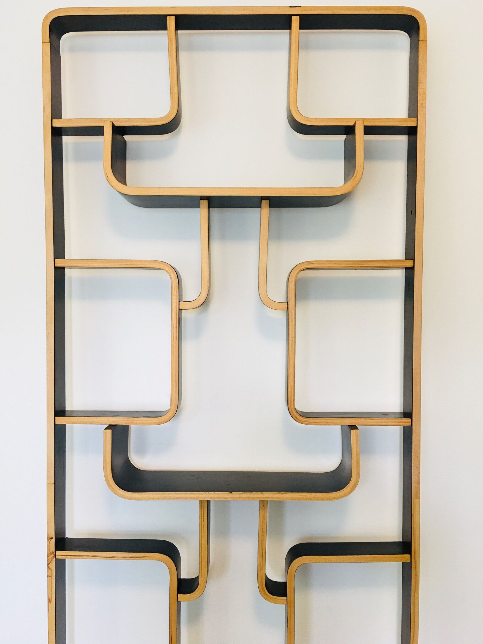 Mid-Century Room Divider by Ludvik Volak for Drevopodnik Holesov, 1960s