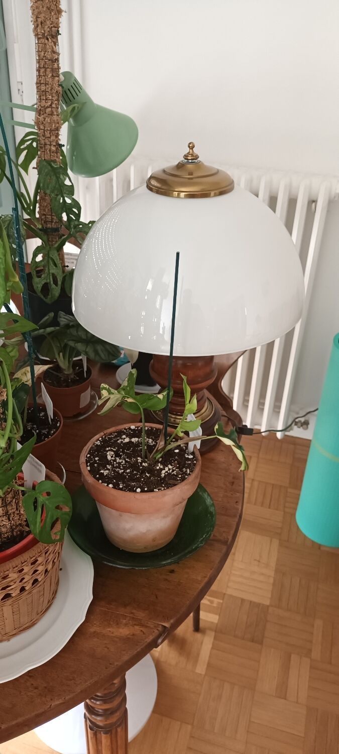 Vintage mushroom lamp