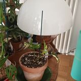 Vintage mushroom lamp