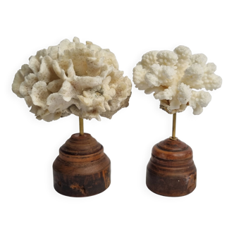 Paire de coraux anciens sur socles en bois tourné, 13 cm