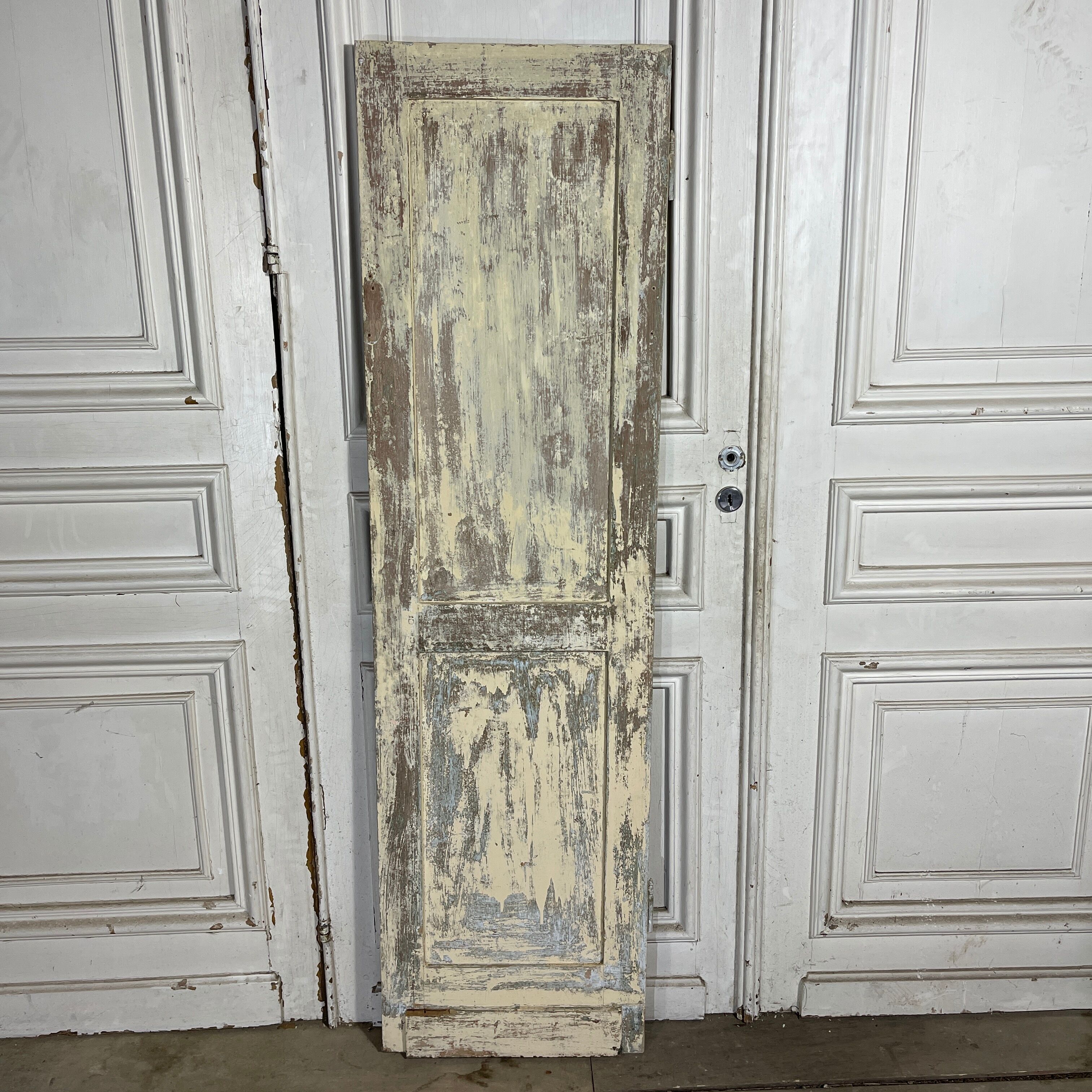 Old closet door 180 x 50